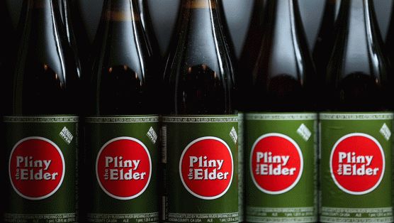 Pliny the Elder 