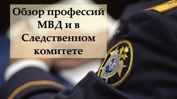 Обзор профессий МВД и в Следственном комитете